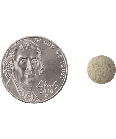 Natrol Cognium Tablets - Memory Support Supplement, 100mg, 60 Count - Safe & Stimulant Free for Brain Health - Buy Online on GoSupps.com