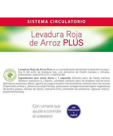 Nutricosmetics - Dietisa Levadura Roja De Arroz Plus 30 Caps - Buy Online on GoSupps.com