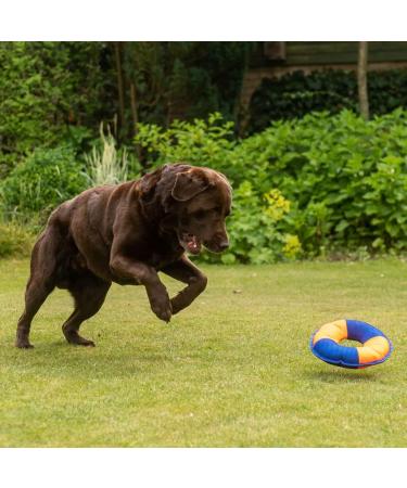 Minifeet Dog Toy Flying Disc - Medium Orange & Blue | Ideal for All Dogs Puppies & Playful Pets - Buy Online on GoSupps.com