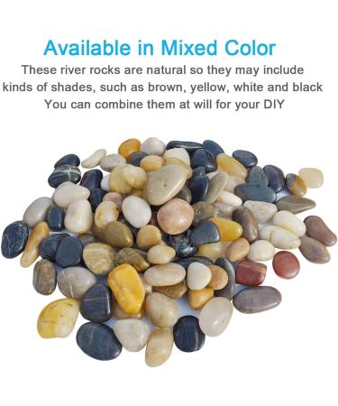 SACKORANGE 2 LB Aquarium Gravel River Rock - Natural Polished Decorative Pebbles for Aquariums & Landscaping - Mixed Color Stones (32-Oz) - Buy Online on GoSupps.com