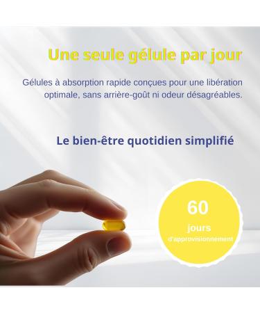 Zane Oregano Oil+ G lules d'huile d'origan et d'huile de nigelle avec carvacrol et thymoquinone Compl ment alimentaire. Sans OGM sans gluten 60 g lules de Zane Vital. - Buy Online on GoSupps.com