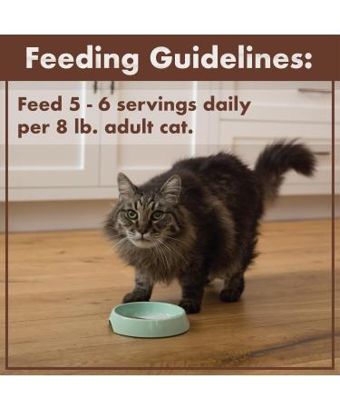 NUTRO Perfect Portions Adult Wet Cat Food Grain Free Tuna Cuts in Gravy Entr es 75g Tray (Pack of 24) Tuna Cuts 75 g (Pack of 24) - Buy Online on GoSupps.com