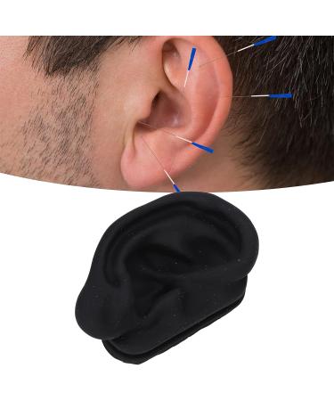 Silicone Ear Model with Display Stand for Acupuncture Practice and Earring Display - Buy Online on GoSupps.com