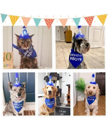 Dog Birthday Hat Bandana Set - Soft Birthday Boy Triangle Scarf and Number Hat  Cute Birthday Party Supplies with 0-8 Figures Blue - Buy Online on GoSupps.com
