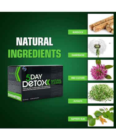 Omni 5 Day Permanent Detox Cleanse - Natural Body Cleanse with Toxin Rid - 40 Capsules - Buy Online on GoSupps.com