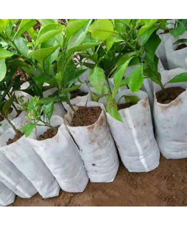 Galand Planting Bag Environment-friendly High Performance Portable Non-woven Fabric Gardening Bag for Planting 10cm x 12cm XXXXX-Small - Buy Online on GoSupps.com