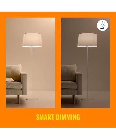 WiZ Connected Color B12 Smart WiFi Light Bulb | 2200K - 6500K + RGB 16 Million Colors | Works with Alexa, Google Assistant, Siri | No Hub Required | 1 Count - Buy Online on GoSupps.com
