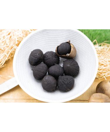 USDA Organic 227g Black Pearl Garlic Jar - 8oz | 100% Whole Black Garlic - Buy Online on GoSupps.com