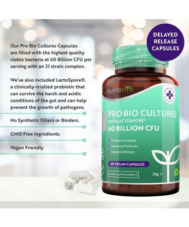60 Billion CFU Probiotic with Lactospore for Gut Health | Enteric Coated for Maximum Absorption | Made in UK - Buy Online on GoSupps.com