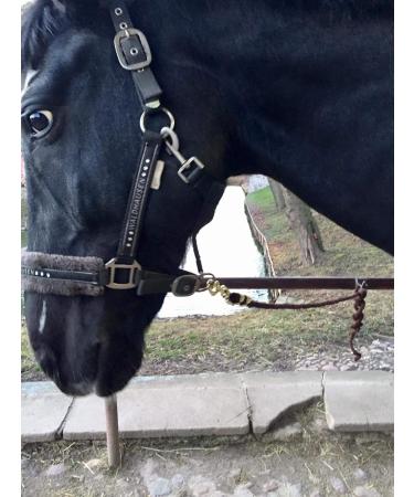 Stylish Lead Rope for Horses Ponies & Donkeys - Durable Ties in Brown - Perfect for Goats | International Shipping - Buy Online on GoSupps.com
