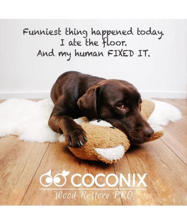 Coconix Floor and Furniture Repair Kit - Restorer of Your Wooden Table  Cabinet  Veneer  Door and Nightstand - Super Easy Instructions Matches Any Color - Restore Any Wood  Cherry  Walnut  Hardwood - Buy Online on GoSupps.com