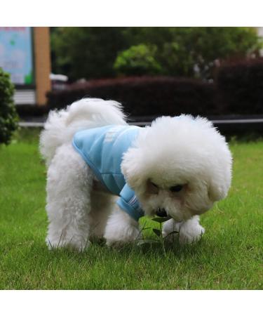 QiCheng&LYS Small Dog Hoodie - Winter Knitted Sweater Coat for Small Dogs (Pink/Blue M) - Cozy & Stylish - Buy Online on GoSupps.com