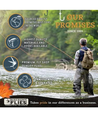 DiscountFlies Terrestrial Dry Fly Fishing Kit w/ Fly Box - 12 Realistic Trout Flies for Effective Fishing - Buy Online on GoSupps.com