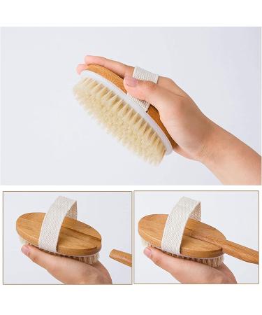 Buy Bayinbrook Back Brush Set - Double Body & Massage Brushes for Improved Blood Circulation & Cellulite Relief | 2 Pack - Buy Online on GoSupps.com