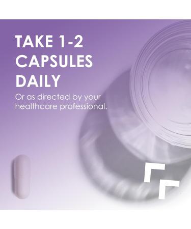 MEIBOTAN Grape Seed Extract Maximum Strength 500 mg (a Highly Concentrated Extract with a Minimum of 90% Polyphenols) 120 Veg Capsules - Buy Online on GoSupps.com