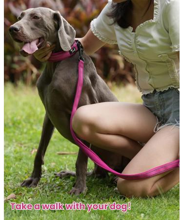 Buy PETTOM Adjustable Nylon Dog Collar - Breathable & Reflective XS Pink for Small Dogs - Buy Online on GoSupps.com
