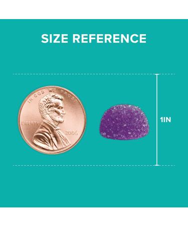 Qunol Magnesium Glycinate Gummies 120mg of Magnesium Glycinate High Absorption Mixed Berry 90 Count (Pack of 1) - Buy Online on GoSupps.com