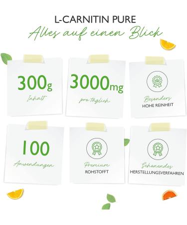 Buy L-Carnitine Pure Powder 300g | 100% Vegan | 100 Portions | High Dose 3000mg | Premium Quality & Lab Tested L-Carnitine Tartrate - Buy Online on GoSupps.com