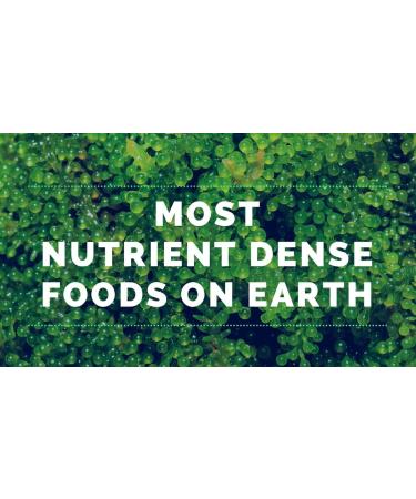 Buy Wellness Organic Chlorella Powder Cracked Cell Chlorella Green SUPERFOOD | Raw Green Supplement Rich in Protein & Vitamins | Broken Cell Wall Non-GMO Vegan Non-Irradiated 4 oz - Buy Online on GoSupps.com