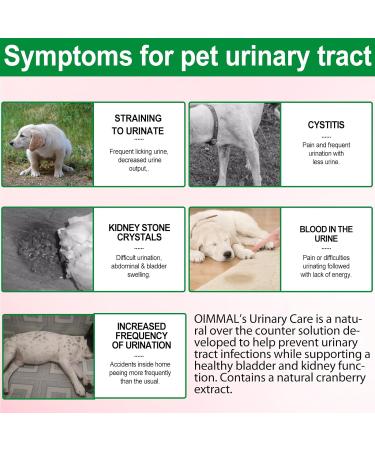 Dog Urinary Tract Infection Treatment Drops with Cranberry Extract - Supports Bladder, Kidney Stone Prevention & UTI - Bacon Flavor - 60ml - Buy Online on GoSupps.com