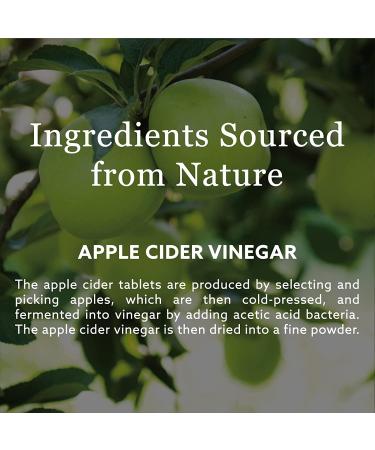 New Nordic Apple Cider 1000 mg - 30 Tablets for Digestive Health & Weight Management - Buy Online on GoSupps.com