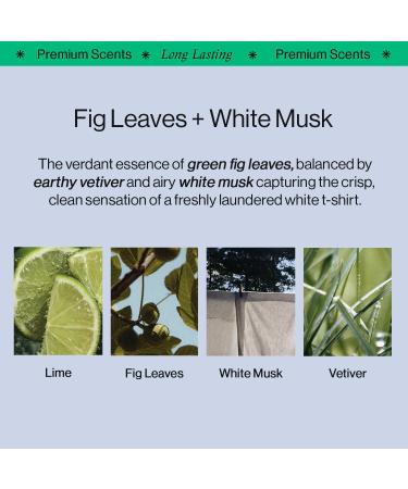 OffCourt - Fig Leaves + White Musk Scent Deodorant Body Spray (3 Pack) and Fragrance Bundle - Buy Online on GoSupps.com