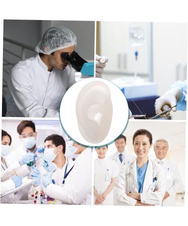 Silicone Ear Model for Piercing Practice and Decoration - Human Ear Structure Simulation Tool 2.6x4.5CM - Buy Online on GoSupps.com