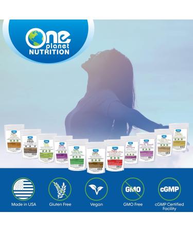 One Planet Nutrition Nano Panax Ginseng Powder 8 oz (227 Servings), Korean Ginseng Extract, Nano for Enhanced Absorption, Boosts Energy & Stamina, Non-GMO, Vegan, Gluten Free Powder 227 g - Buy Online on GoSupps.com