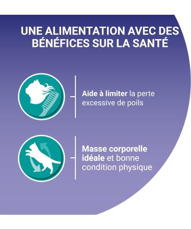 PURINA ONE Indoor Cat Tapered in Sauce Assorted Flavors Veal and Tuna Meal Bags for Adult Cats 4x85g | Pack of 12 - Buy Online on GoSupps.com