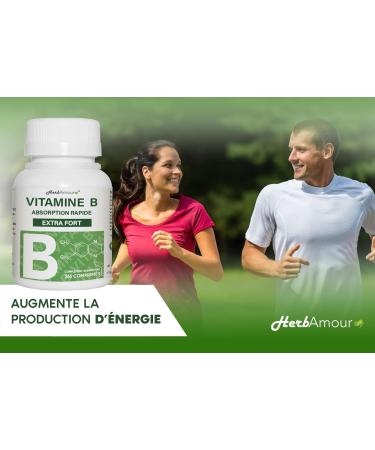 VITAMIN B EXTRA STRONG | 365 Tablets (Stock For 12 Months) | Vitamin B Complex With Vitamin B1 B2 B3 B5 B6 B12 With Biotin And Folic Acid And Vitamin B12 - Buy Online on GoSupps.com