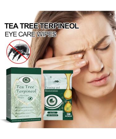 KOAHDE Eye Wipes for Itchy Dry Eyes Eyelid Cleansing Wipes Mite Removal Eyelid Wipes Eyelid Wipes Mite Removing Itchy Eyes Relief Wipes Wrapped Eyelash Wipes Eye Mite Removal Wet Wipes 20PC - Buy Online on GoSupps.com