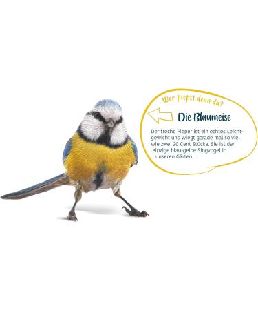 Elle's Sunflower Seeds 2.5kg | Nutrient-Rich Energy Source for Wild Birds | Ideal for All Seasons | High Oil Content for Energy & Vitality - Buy Online on GoSupps.com