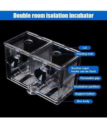WEAVERBIRD Fish Breeder Box Clear Acrylic Aquarium Isolation Hatchery Feeding Boxes Perfect Isolator for Aggressive Fish Injured Fish Small Fish Shrimp Clownfish with 2pcs Sucker and Hook XL(Double Box) - Buy Online on GoSupps.com