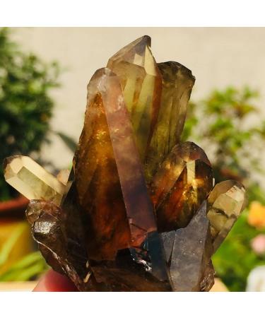 65g Natural Black Smoked Citrine Quartz Crystal Cluster Rough Specimen Suitable for Home ERTEYIN - Buy Online on GoSupps.com