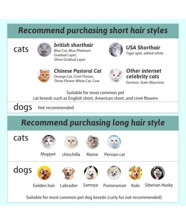 4-in-1 Animal Hair Cleaning Brush | Self-Cleaning Cat Comb with Water Tank | Multicolored Pet Care Tool - Buy Online on GoSupps.com