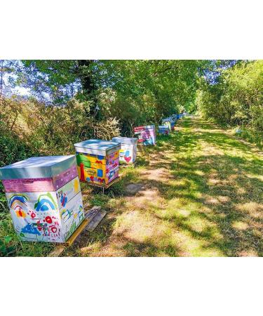 Smartbox - Gift Box - Beehive Sponsorship and Honey Extraction near Nantes with Products to Bring Home - Original Gift Idea - Buy Online on GoSupps.com