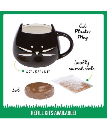 Organic Cat Grass Growing Kit for Natural Hairball Control - Made in USA - Buy Online on GoSupps.com