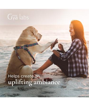 Gya Labs 100ml Lemongrass Spray - Outdoor Protection & Mood Balance - Face & Body Mist for Sensitive Skin - Uplift Mood with Unrefined Essential Oil Spray - Buy Online on GoSupps.com