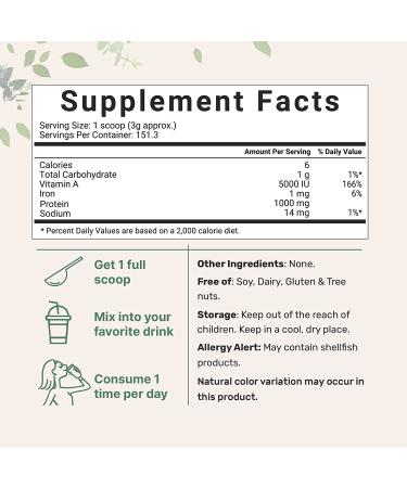 Micro Ingredients Organic Spirulina Powder 16oz Raw Arthrospira Platensis Superfood with 70% Vegan Protein, Minerals, Vitamins Non-GMO & Non-Irradiated 1lb Pack - Buy Online on GoSupps.com