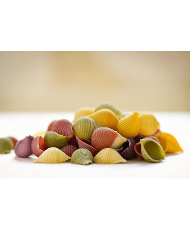 Yupik Organic Vegetables Shell Pasta Non-GMO Vegan 0.4Kg 400 g (Pack of 1) - Buy Online on GoSupps.com