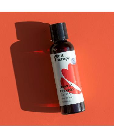 Plant Therapy Organic Rosehip Carrier Oil 4 oz For Skin and Hair Cold Pressed Supports Skin Hydration Fine Lines & Wrinkles Extra Virgin Vitamins A and E & Essential Fatty Acids - Buy Online on GoSupps.com