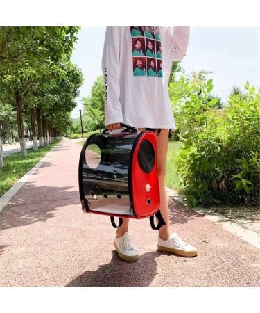 Outdoor Bird Backpack Carrier with Perch Stand | Breathable Space Capsule Travel Bag for Parrots | Blue Color - Buy Online on GoSupps.com