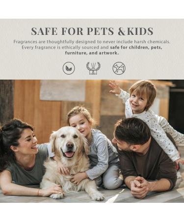 Hotel Diffuser Oil & Aroma Essential Oil Blend Luxury 1 Hotel Inspired Aromatherapy with Jasmine Pink Pepper Pineapple Cedar & Amber for Ultrasonic Diffusers & Nebulizers - 8.45 fl oz 250 mL 8.45 Fl Oz (Pack of 1) - Buy Online on GoSupps.com