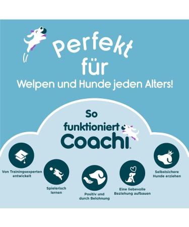 Shop Coachi Tuggi Toys - Durable Tuggi Ball for Dogs | Company of Animals - International Shipping Available - Buy Online on GoSupps.com