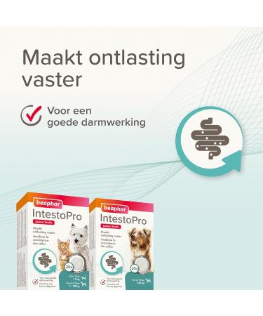 BEAPHAR IntestoPro Tablets to improve stool consistency Promotes Digestion Active Ingredient of Natural Origin for Dogs ( 20 kg) 20 tablets - Buy Online on GoSupps.com