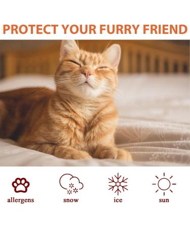 Dog Foot Balm Dog Feet Butter Soother Lickable Gentle Natural Hydrating Dog Paw Pad Moisturizer Heals & Repairs Dry Cracked Damaged Paws Gonipol - Buy Online on GoSupps.com