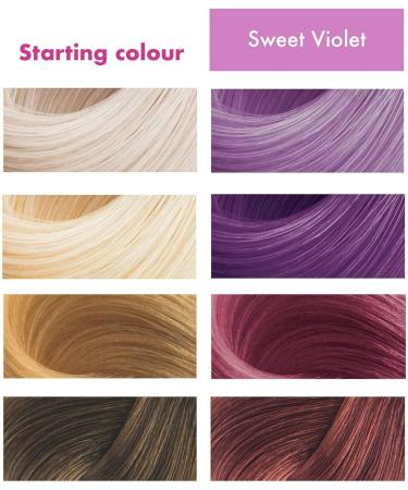 Umberto Giannini Flowerology Temporary Hair Colour Mask 200ml (Sweet Violet) - Vegan, Cruelty-Free - Buy Online on GoSupps.com