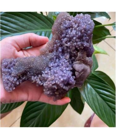 Natural Grape Agate Crystal Mineral Specimen Home Decor Ornaments (Size : 100-110g) - Buy Online on GoSupps.com