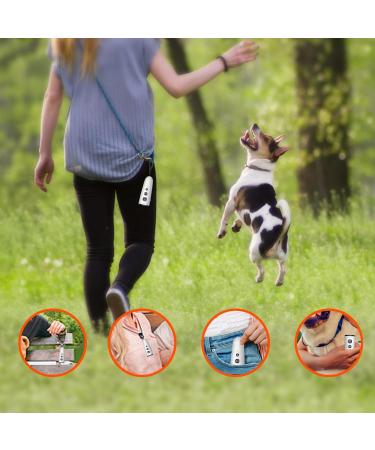 SZESHINECO Ultrasonic Dog Training Device - Rechargeable Dog Repellent and Barking Deterrent - Effective Behavior Corrector - Grey/Black - Buy Online on GoSupps.com