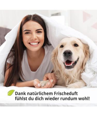 ZOOPRINZ Schromple Risiciations Concentrate - Effective Odor Neutralizer & Enzyme Cleaner for Household & Animal Care - 1L Urine Saliva Vomit Odor Eliminator - Buy Online on GoSupps.com